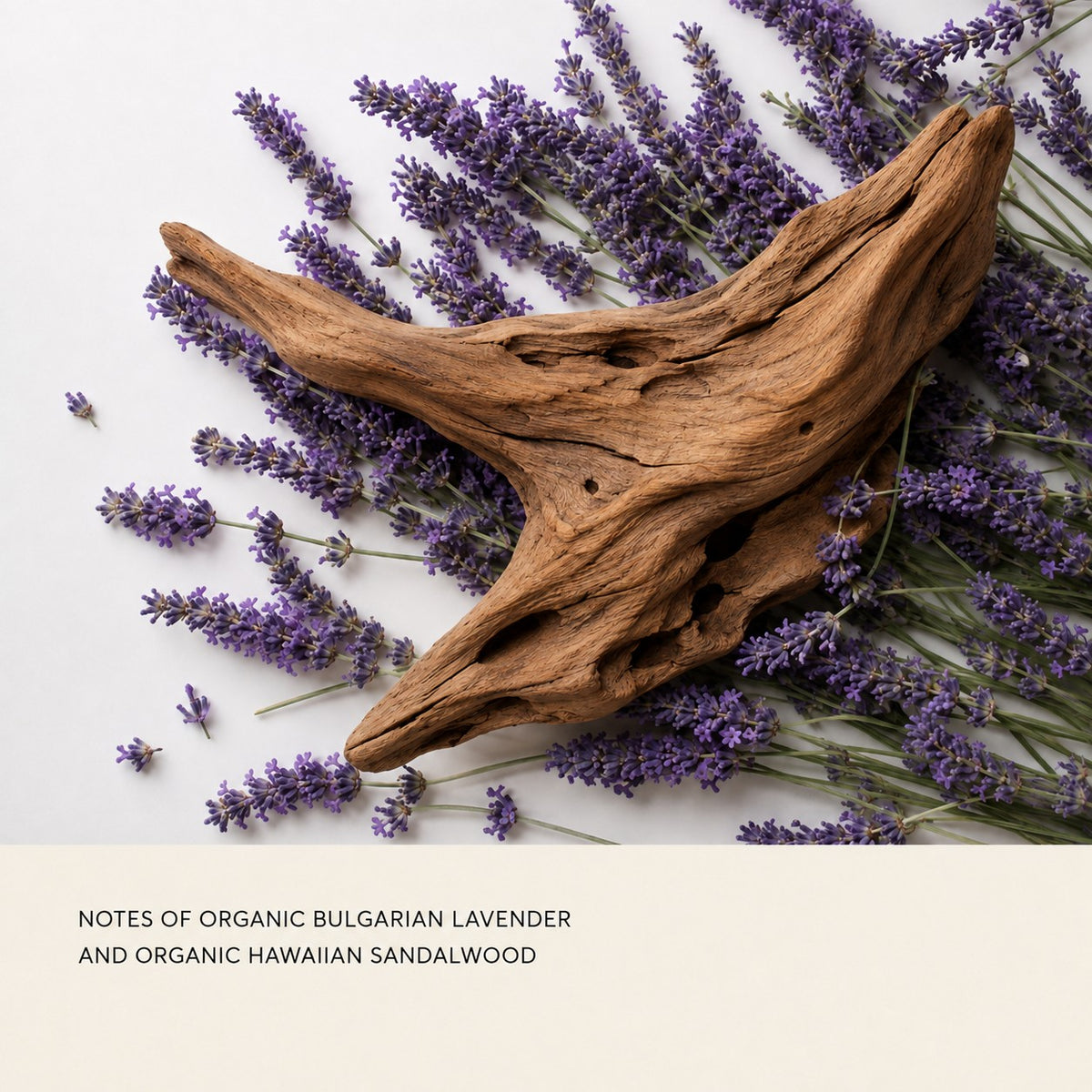 A styled flat-lay featuring a large, natural brown sandalwood driftwood piece surrounded by purple lavender sprigs on a white background, with a text banner at the bottom reading 'NOTES OF ORGANIC BULGARIAN LAVENDER AND ORGANIC HAWAIIAN SANDALWOOD'.