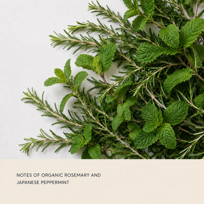 Fresh organic rosemary and Japanese peppermint herbs arranged diagonally on a light background, with a text banner at the bottom reading 'NOTES OF ORGANIC ROSEMARY AND JAPANESE PEPPERMINT'.
